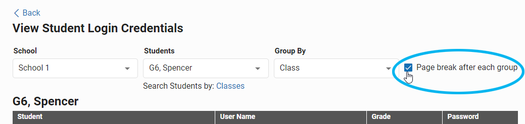 the page break after each group check box